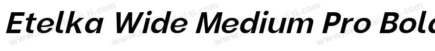 Etelka Wide Medium Pro Bold Italic字体转换